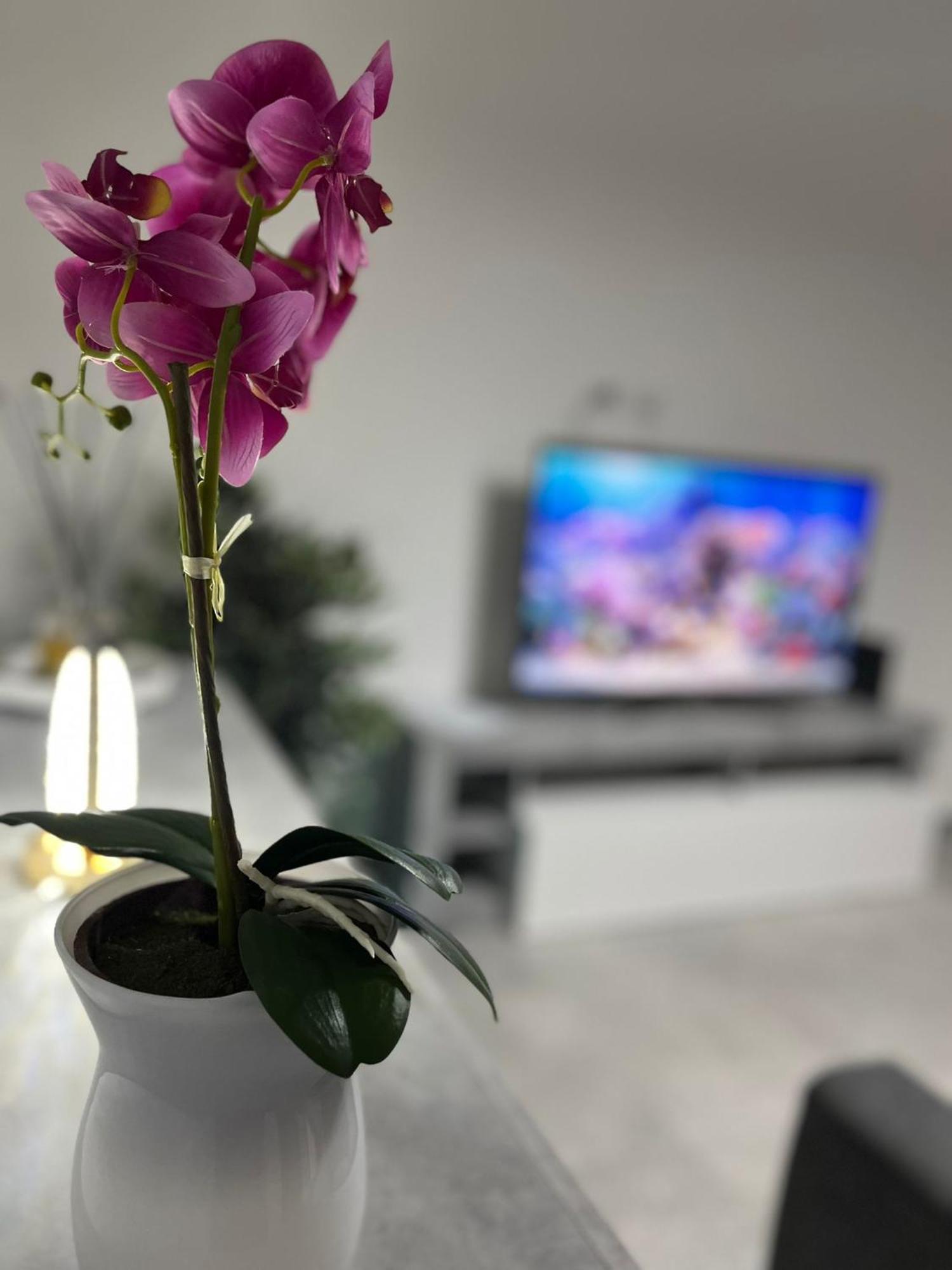 Goodbye Moon Apartment 布林迪西 外观 照片